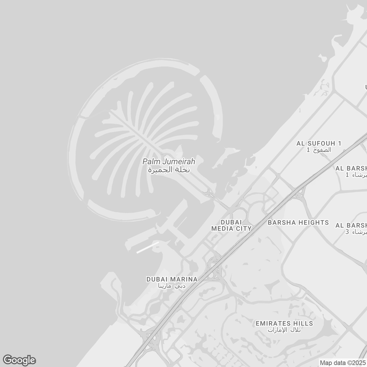 Location of Palm Flower